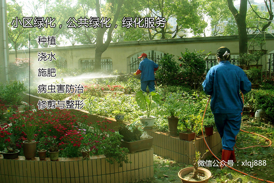 小區(qū)綠化，公共綠化，綠化服務(wù)